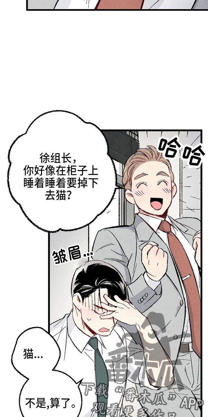 完美伴侣漫画,第89章：【第二季】刺眼5图