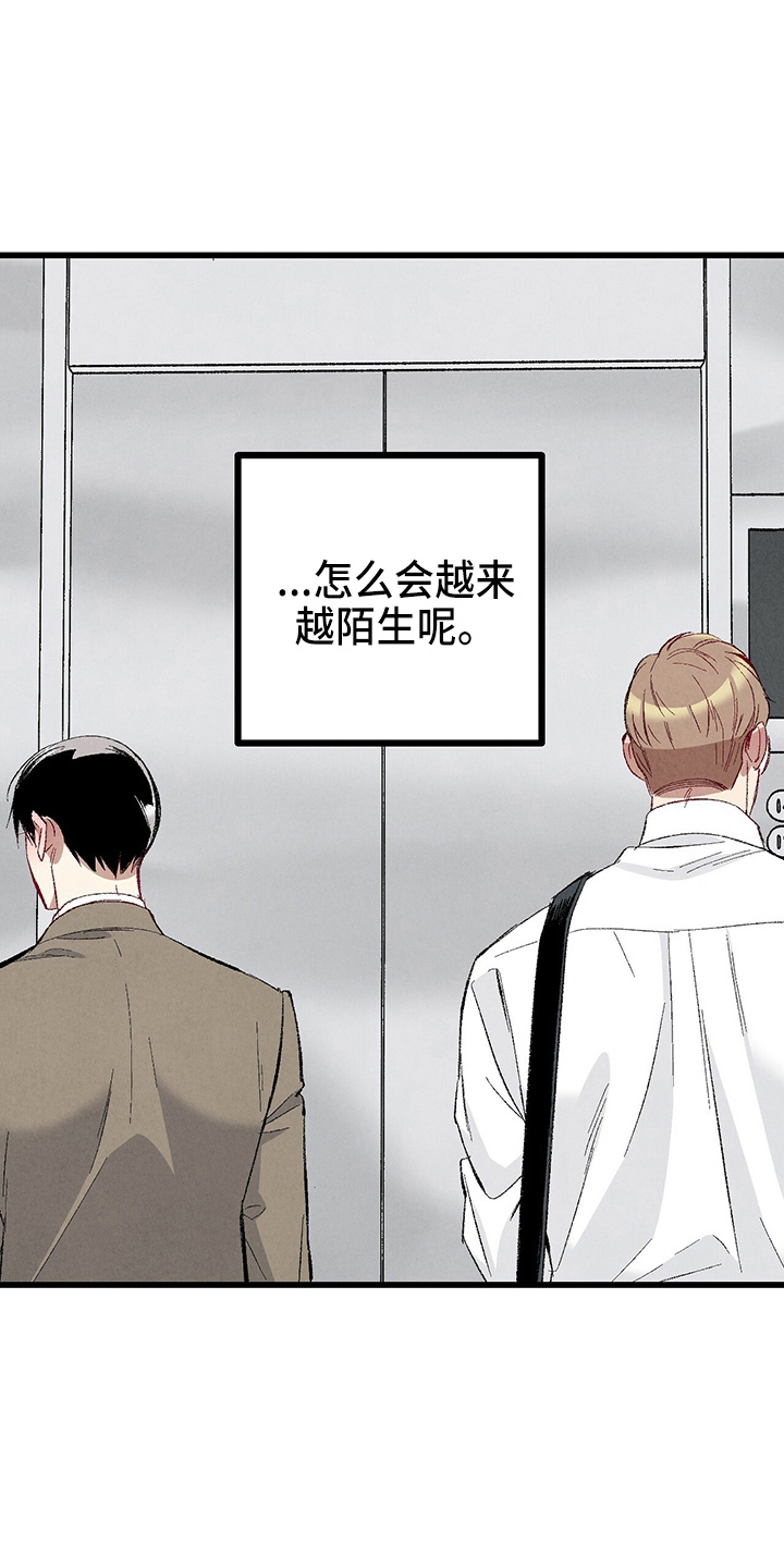 完美伴侣漫画,第97章：【第二季】没事吧2图