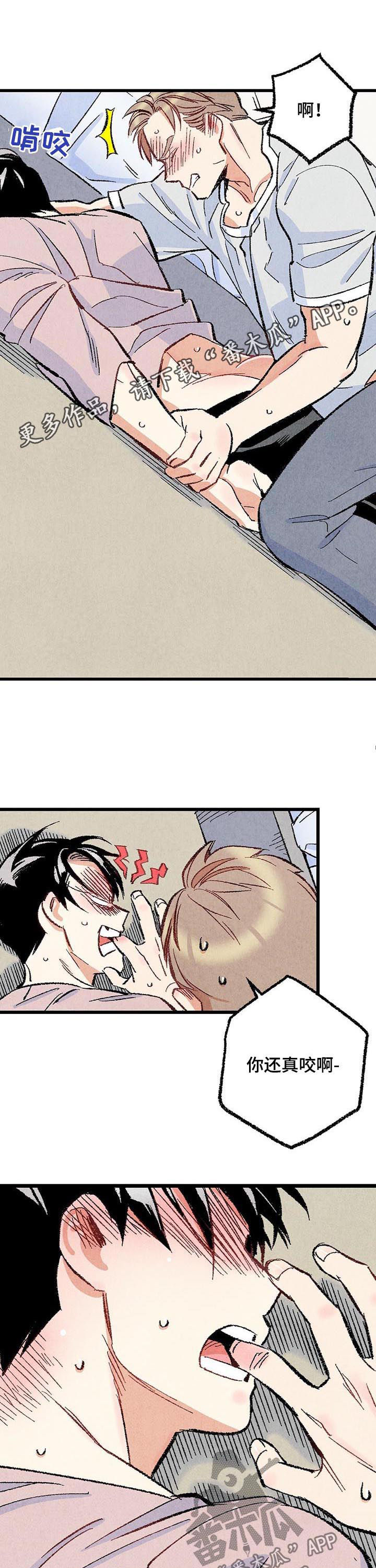 完美伴侣漫画,第47章：就地正法1图