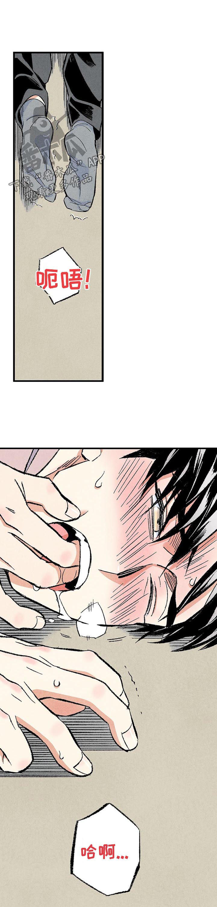 完美伴侣漫画,第47章：就地正法2图