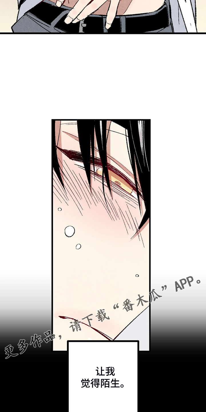 完美伴侣漫画,第77章：【第二季】重复的梦1图