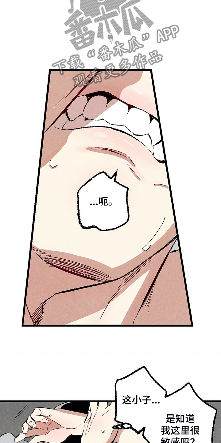 完美伴侣漫画,第74章：【第二季】奇怪的喜好2图