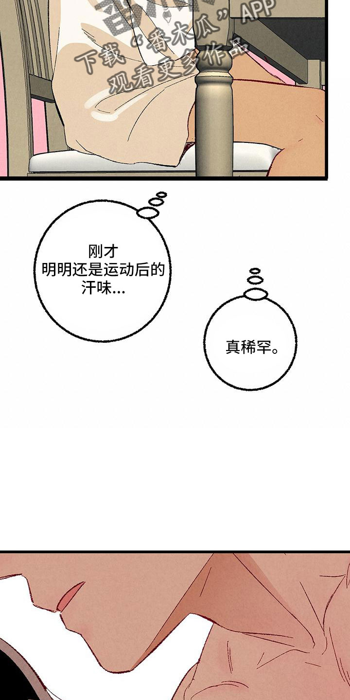 完美伴侣漫画,第102章：【第二季】诱人1图