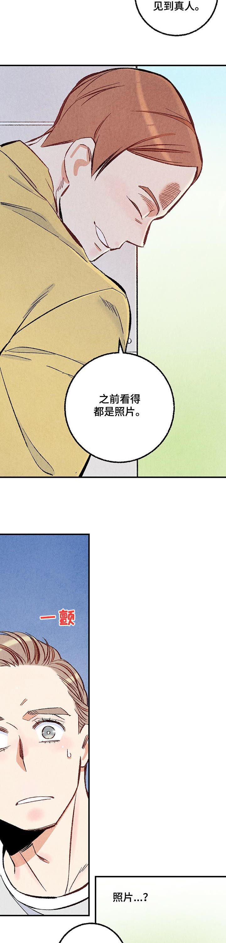 完美伴侣漫画,第36章：美人1图