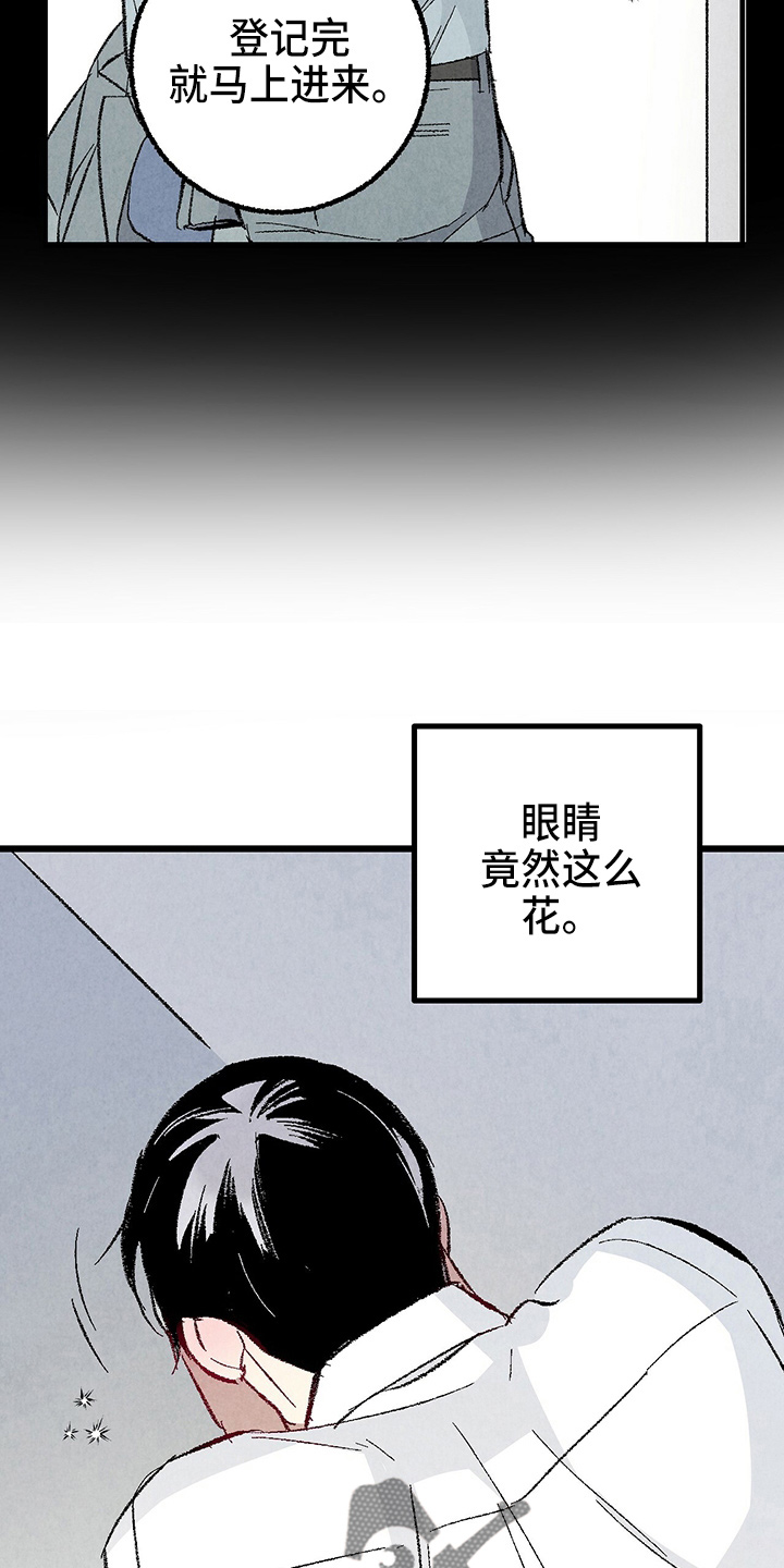 完美伴侣漫画,第89章：【第二季】刺眼4图