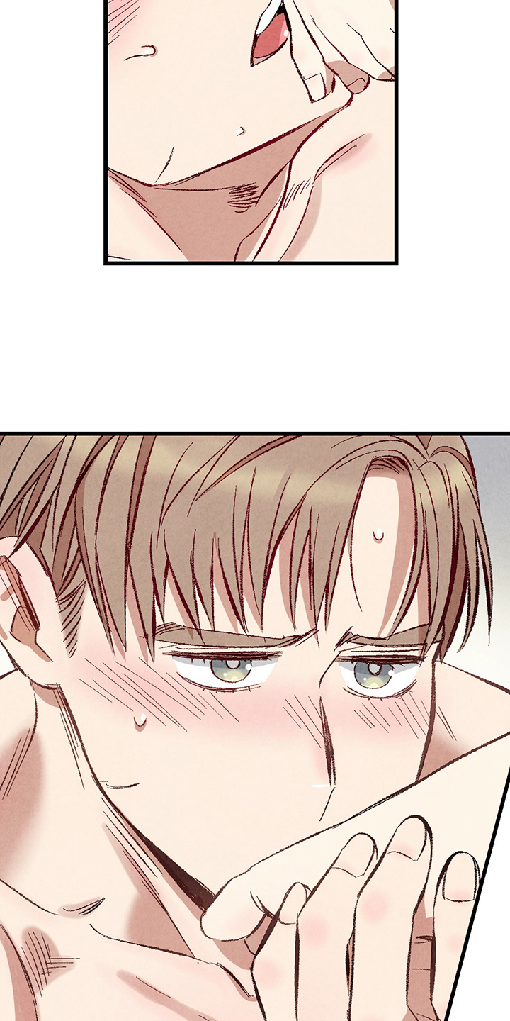 完美伴侣漫画,第74章：【第二季】奇怪的喜好1图