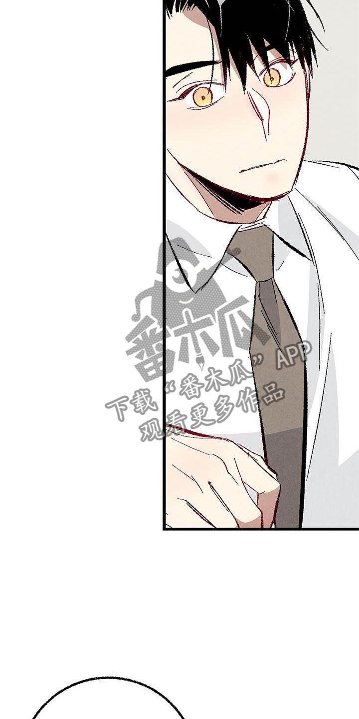 完美伴侣漫画,第94章：【第二季】回到原点4图