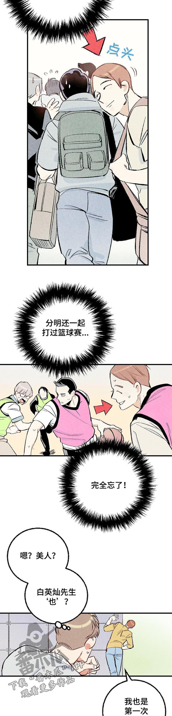 完美伴侣漫画,第36章：美人5图
