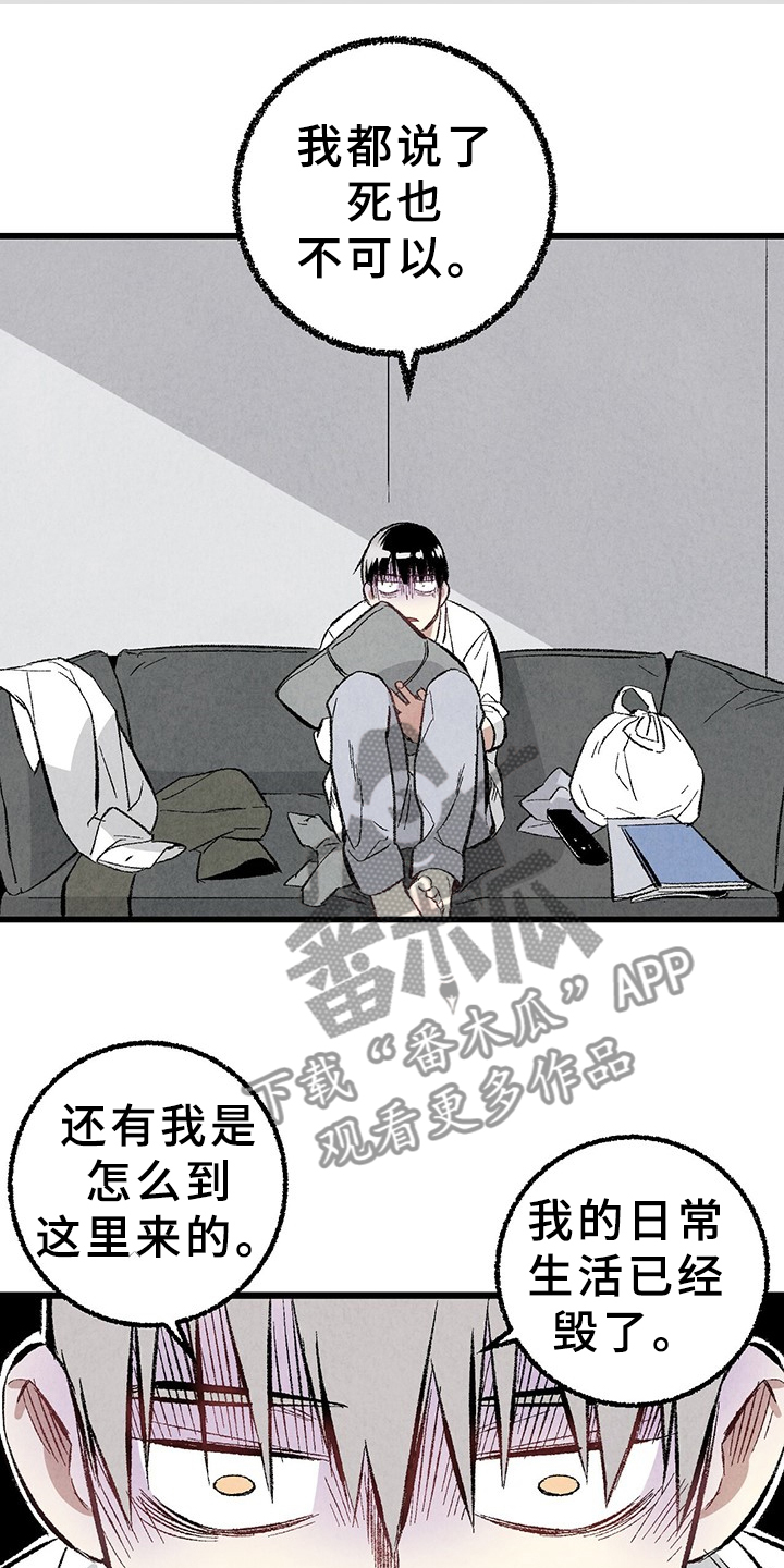 完美伴侣漫画,第64章：【第二季】原来如此5图