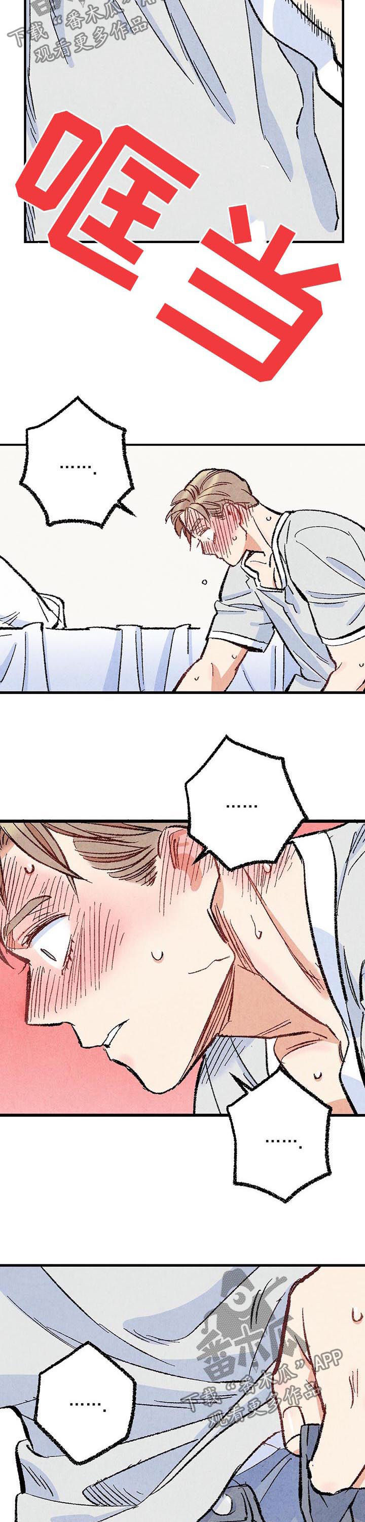 完美伴侣漫画,第47章：就地正法3图