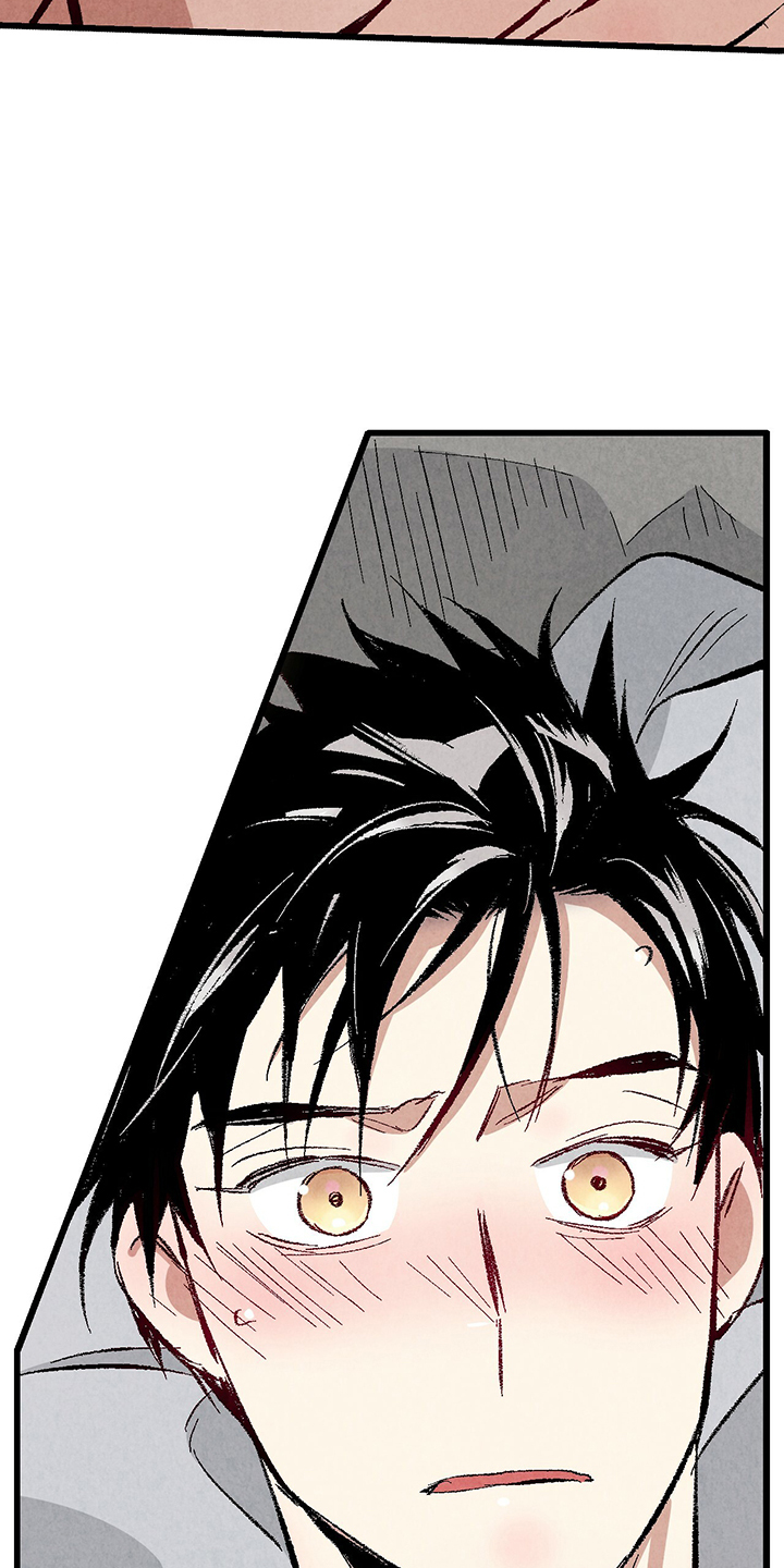 完美伴侣漫画,第75章：【第二季】我才刚开始2图