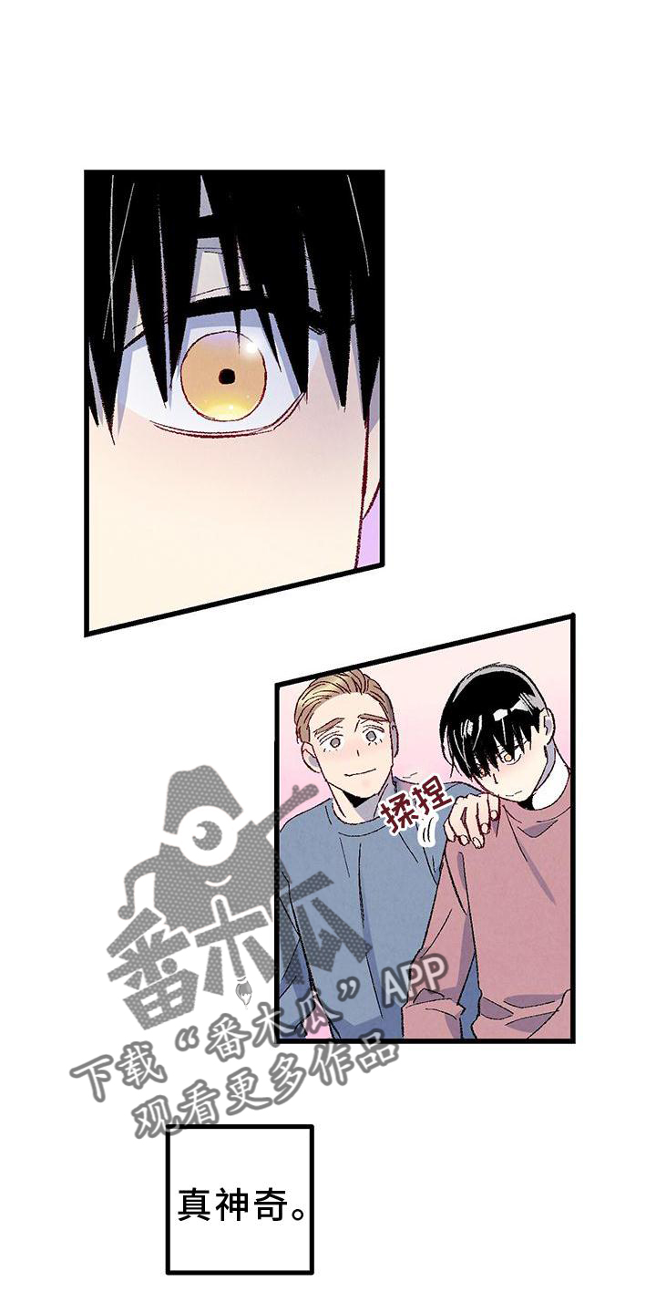 完美伴侣漫画,第111章：【第二季】好5图