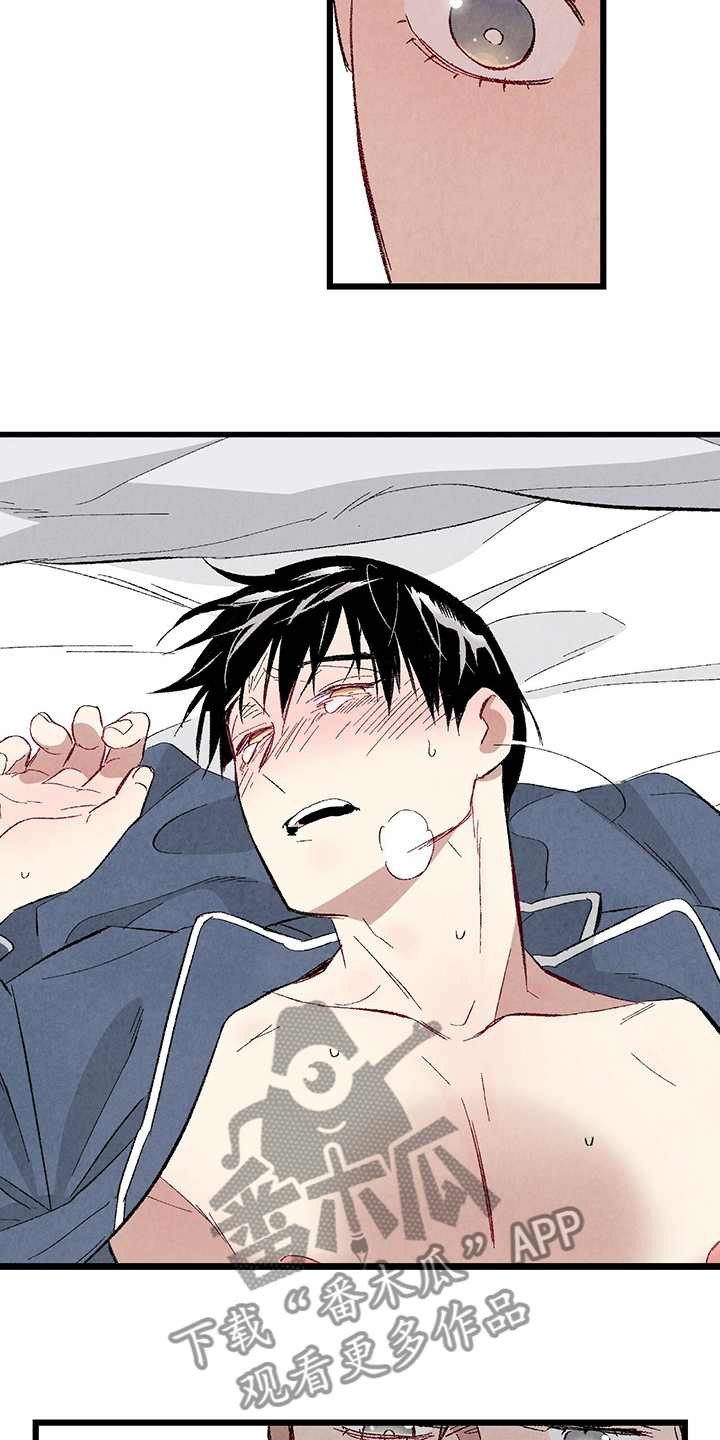 完美伴侣漫画,第84章：【第二季】悄悄的走3图