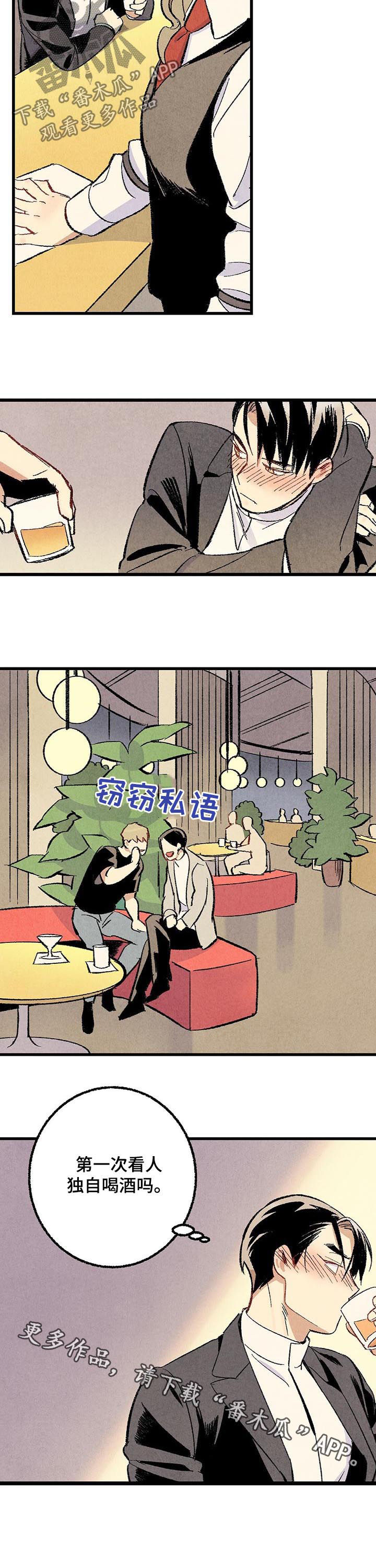 完美伴侣漫画,第50章：酒吧1图
