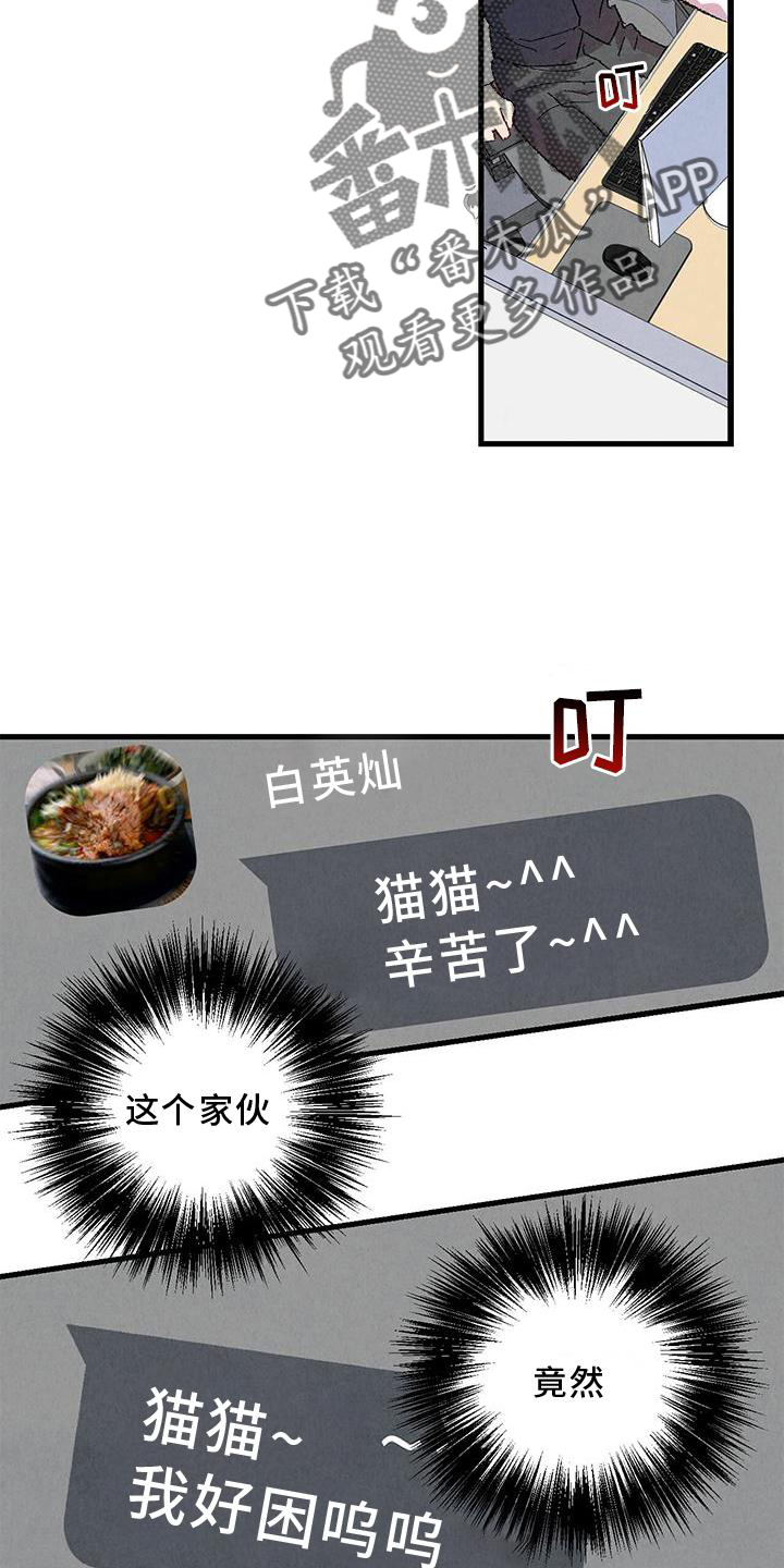 完美伴侣漫画,第114章：【第二季】猫猫5图