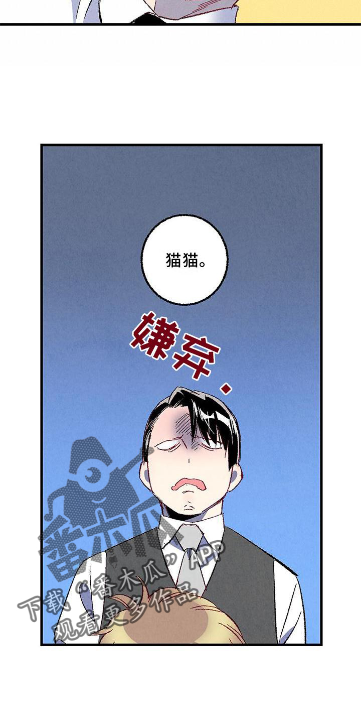 完美伴侣漫画,第114章：【第二季】猫猫3图
