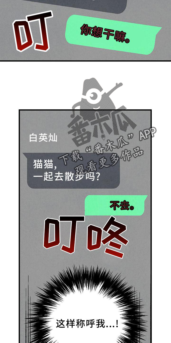 完美伴侣漫画,第114章：【第二季】猫猫1图