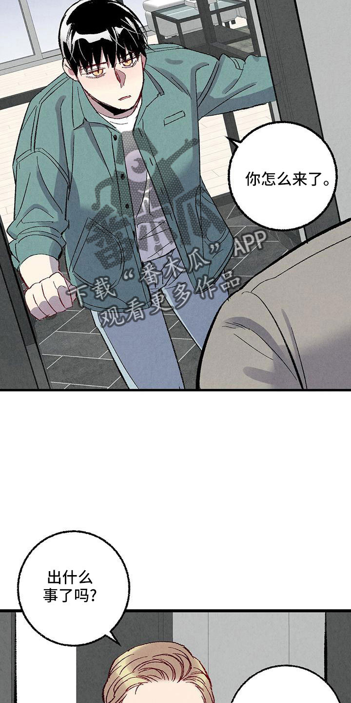 完美伴侣漫画,第106章：【第二季】没事吧3图