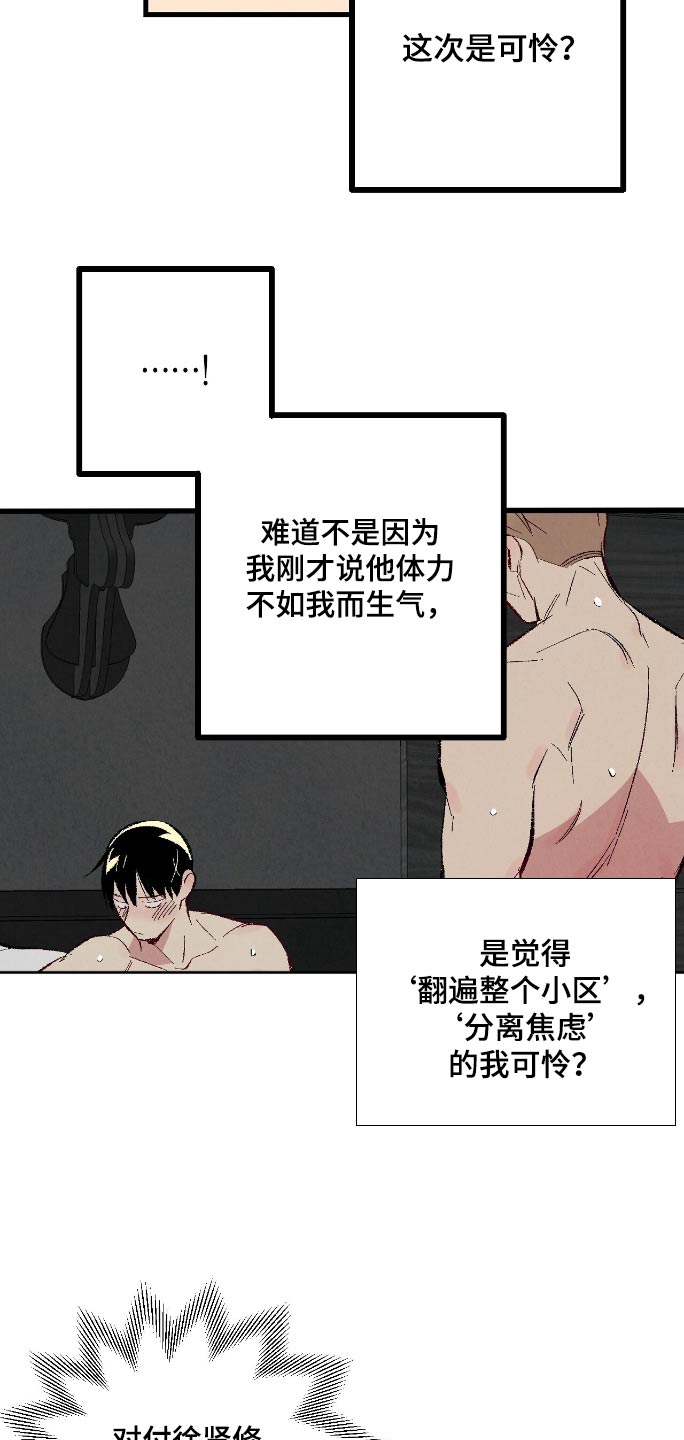 完美伴侣漫画,第169章：【第二季】可怜1图