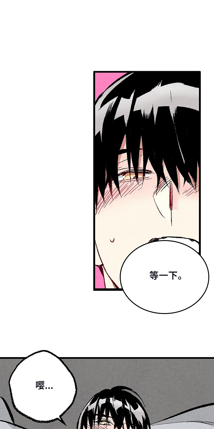 完美伴侣漫画,第74章：【第二季】奇怪的喜好4图