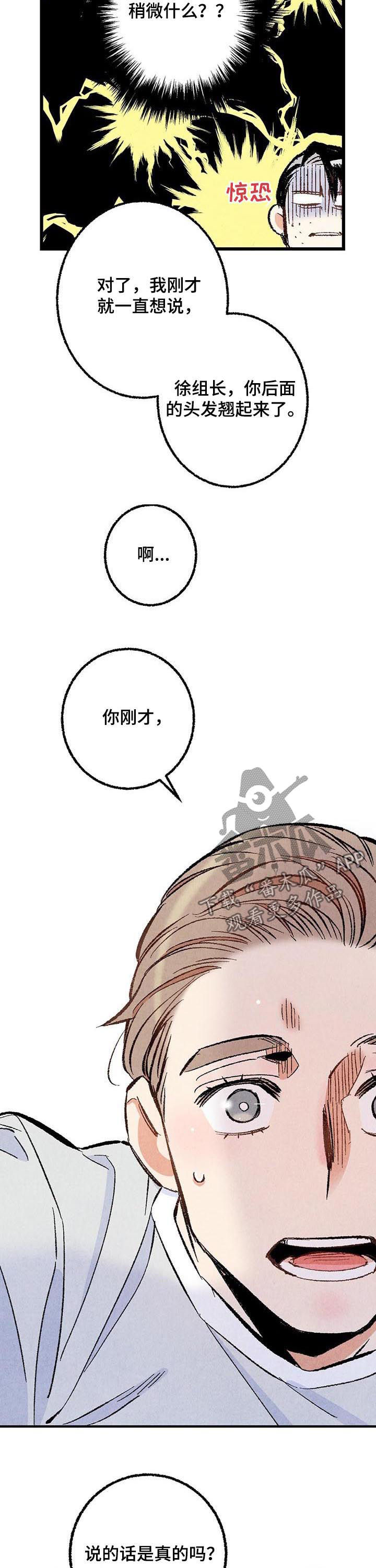 完美伴侣漫画,第39章：容易让人误会1图