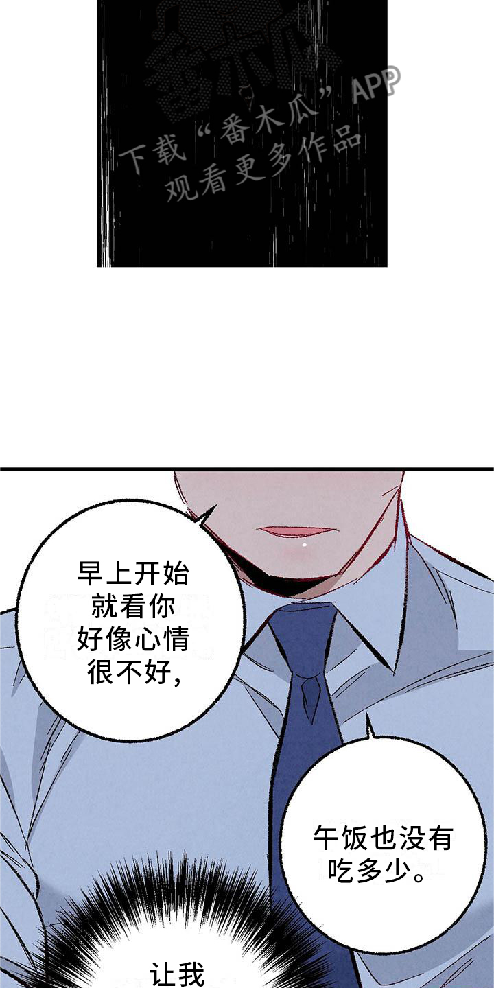 完美伴侣漫画,第95章：【第二季】谈话4图
