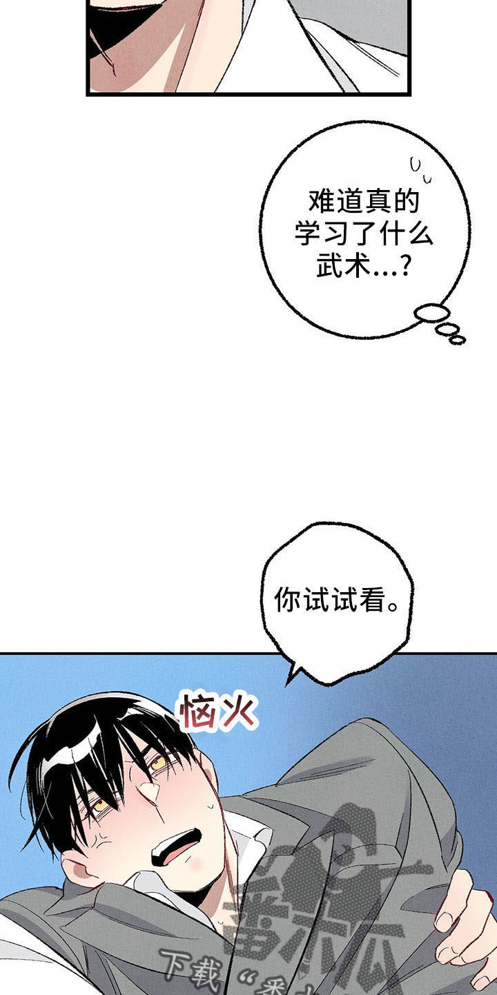 完美伴侣漫画,第99章：【第二季】捉弄人4图