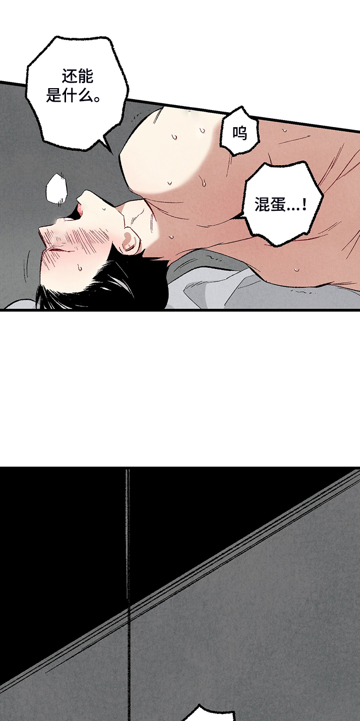 完美伴侣漫画,第76章：【第二季】像受伤的猫4图