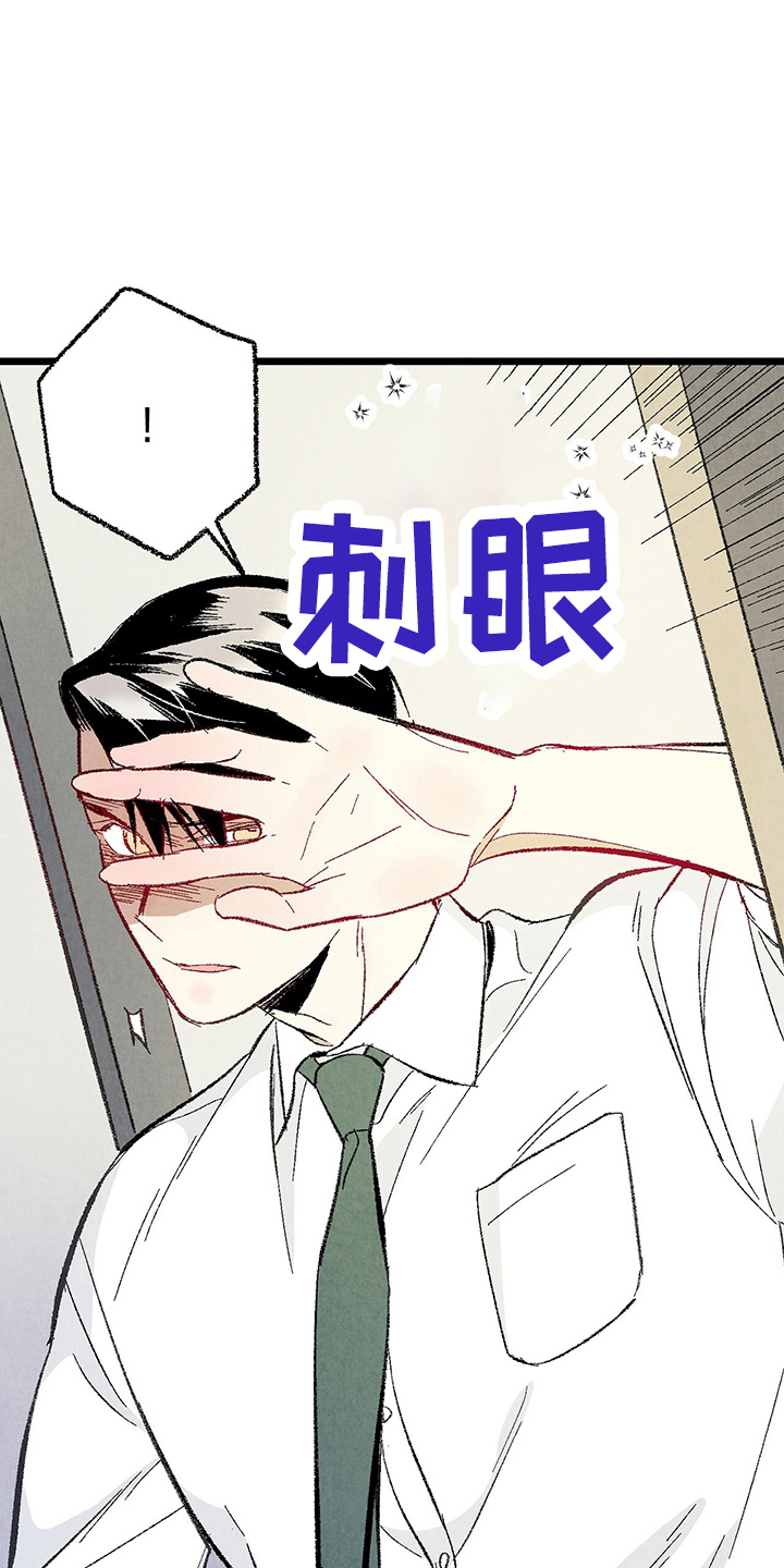 完美伴侣漫画,第89章：【第二季】刺眼2图