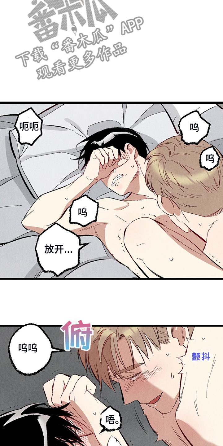 完美伴侣漫画,第76章：【第二季】像受伤的猫1图