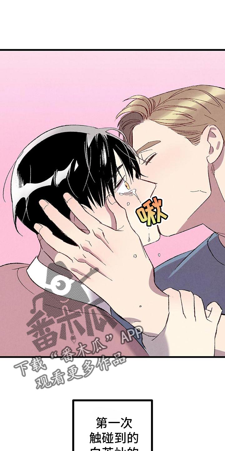 完美伴侣漫画,第108章：【第二季】安慰1图