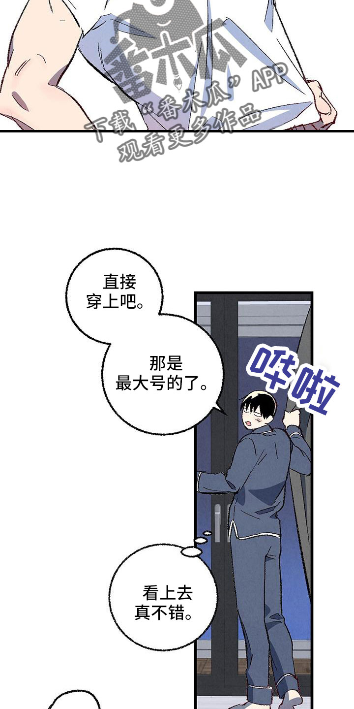 完美伴侣漫画,第126章：【第二季】装蒜3图