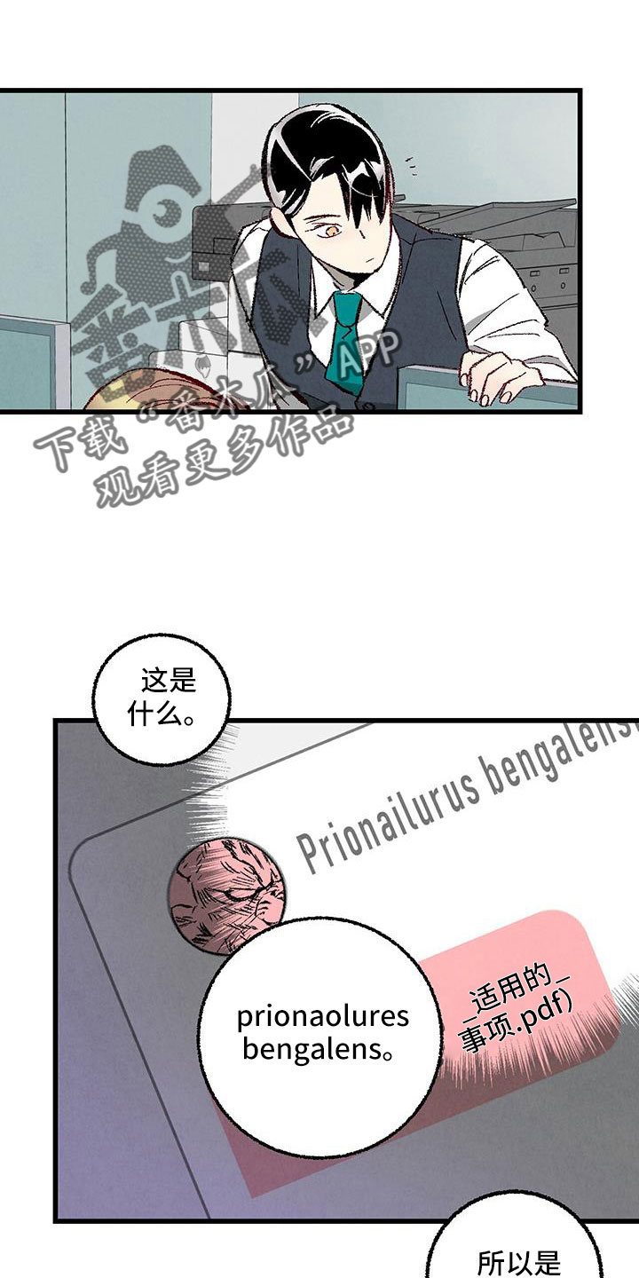 完美伴侣漫画,第122章：【第二季】了解的太少1图