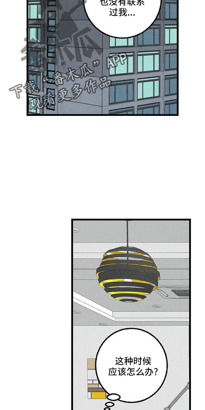 完美伴侣漫画,第106章：【第二季】没事吧4图