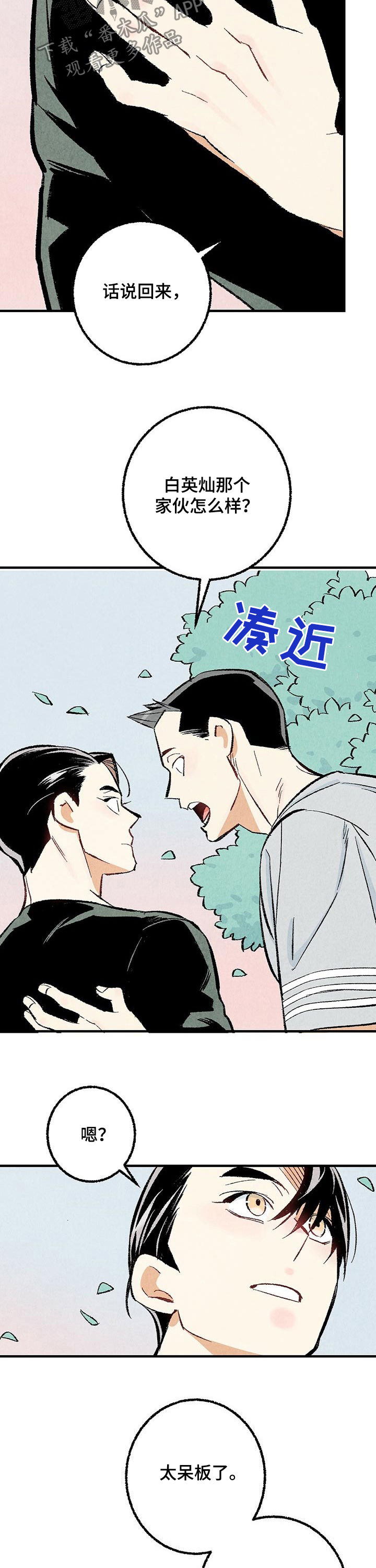 完美伴侣漫画,第29章：你又不是3图