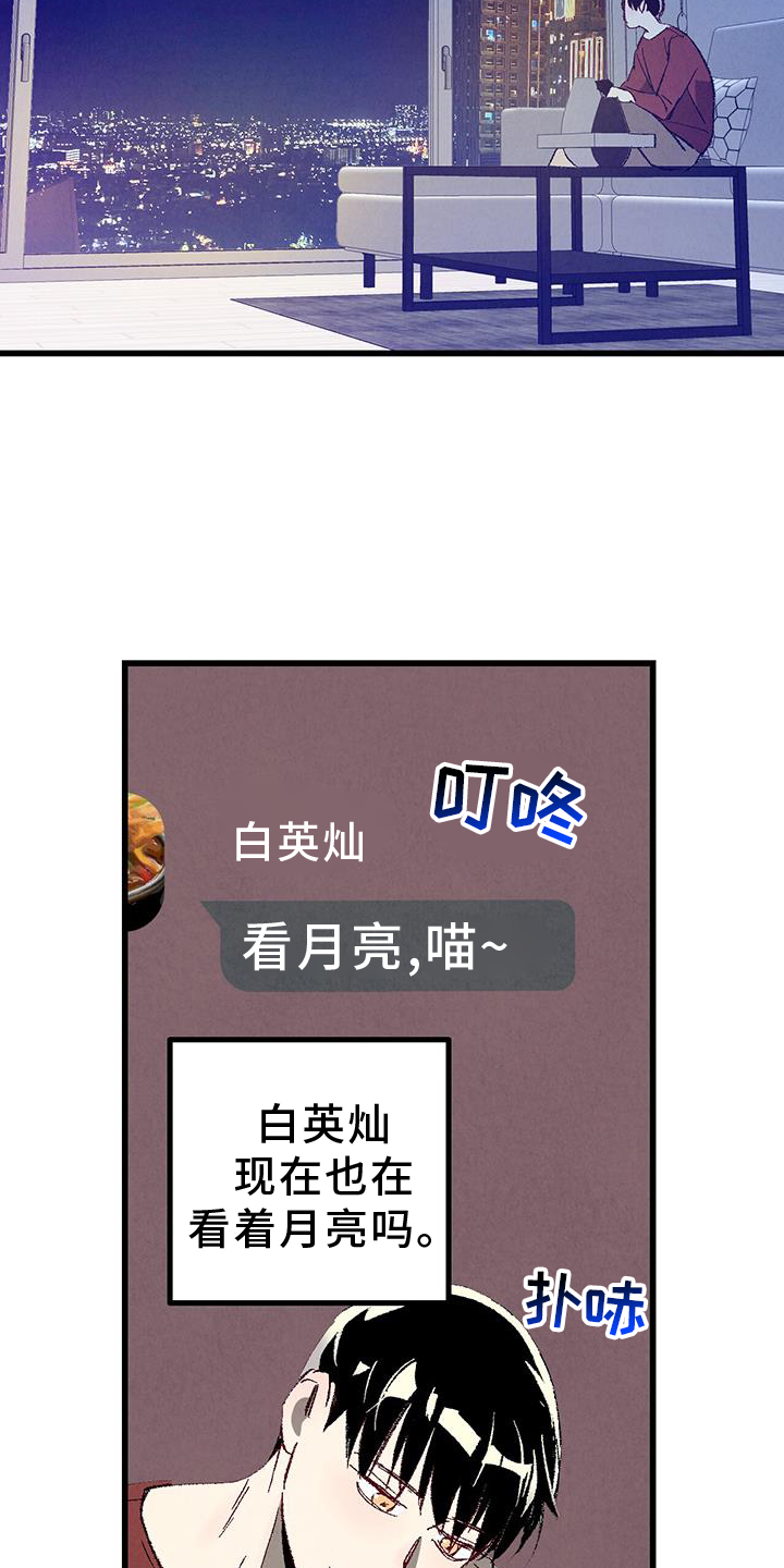 完美伴侣漫画,第134章：【第二季】打赌2图