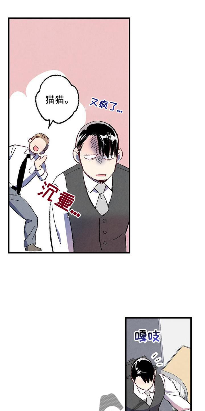 完美伴侣漫画,第114章：【第二季】猫猫4图