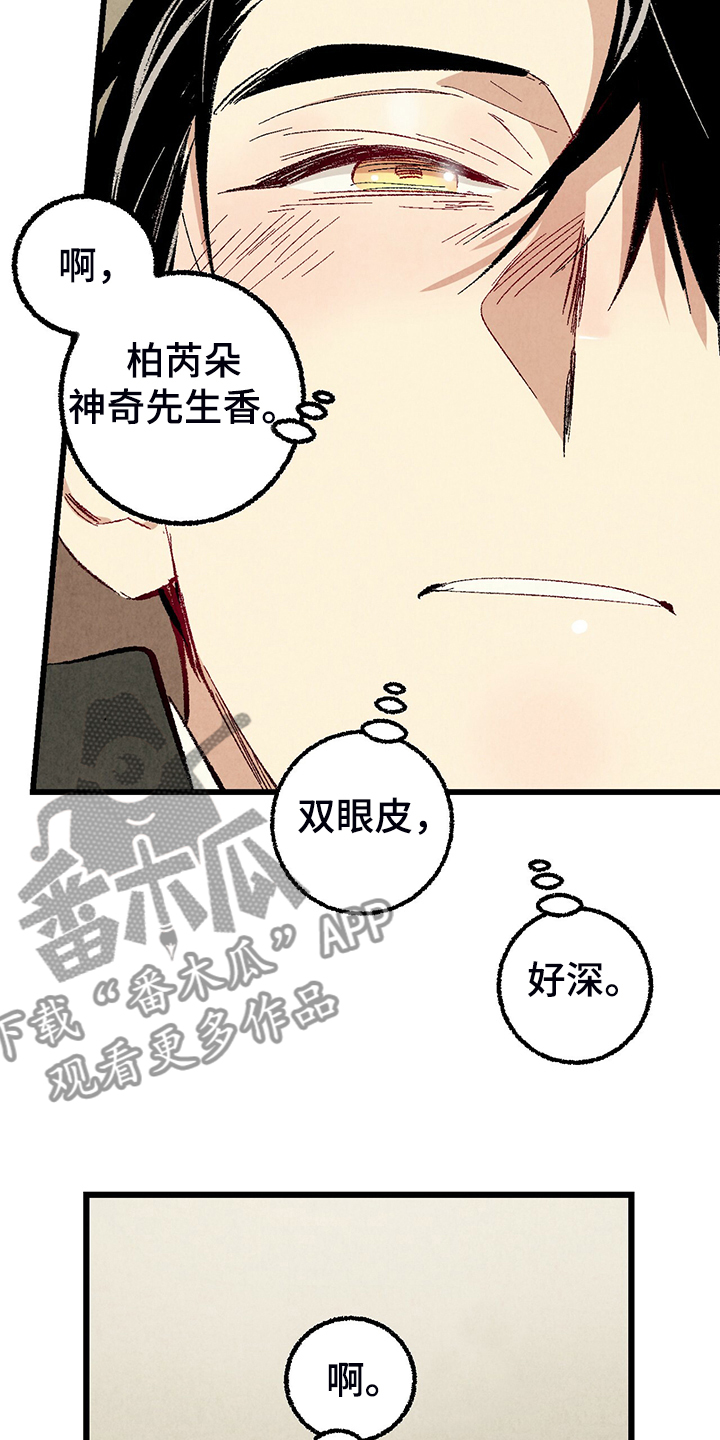 完美伴侣漫画,第80章：【第二季】查到了4图