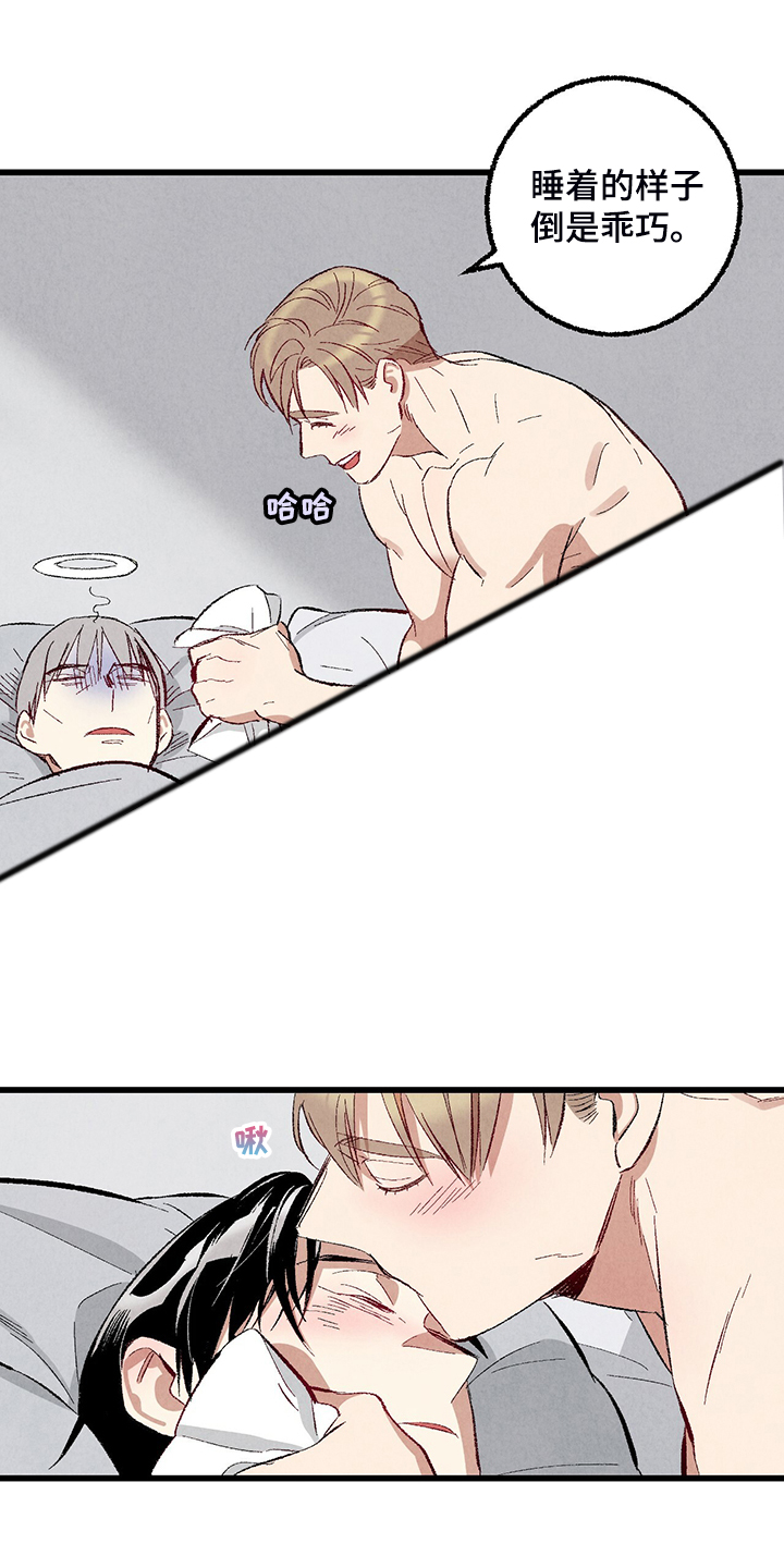 完美伴侣漫画,第76章：【第二季】像受伤的猫5图