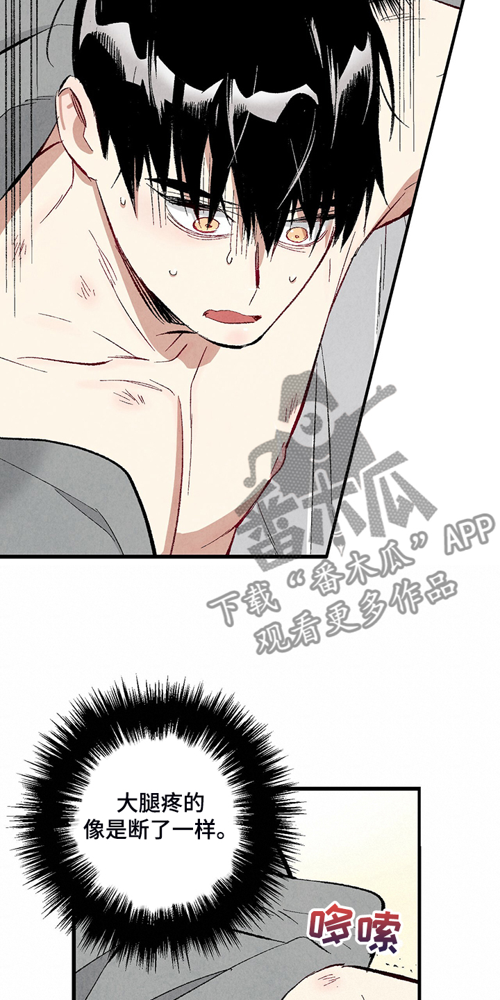 完美伴侣漫画,第77章：【第二季】重复的梦1图