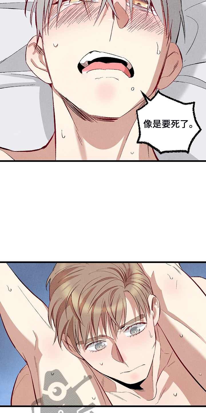 完美伴侣漫画,第76章：【第二季】像受伤的猫5图