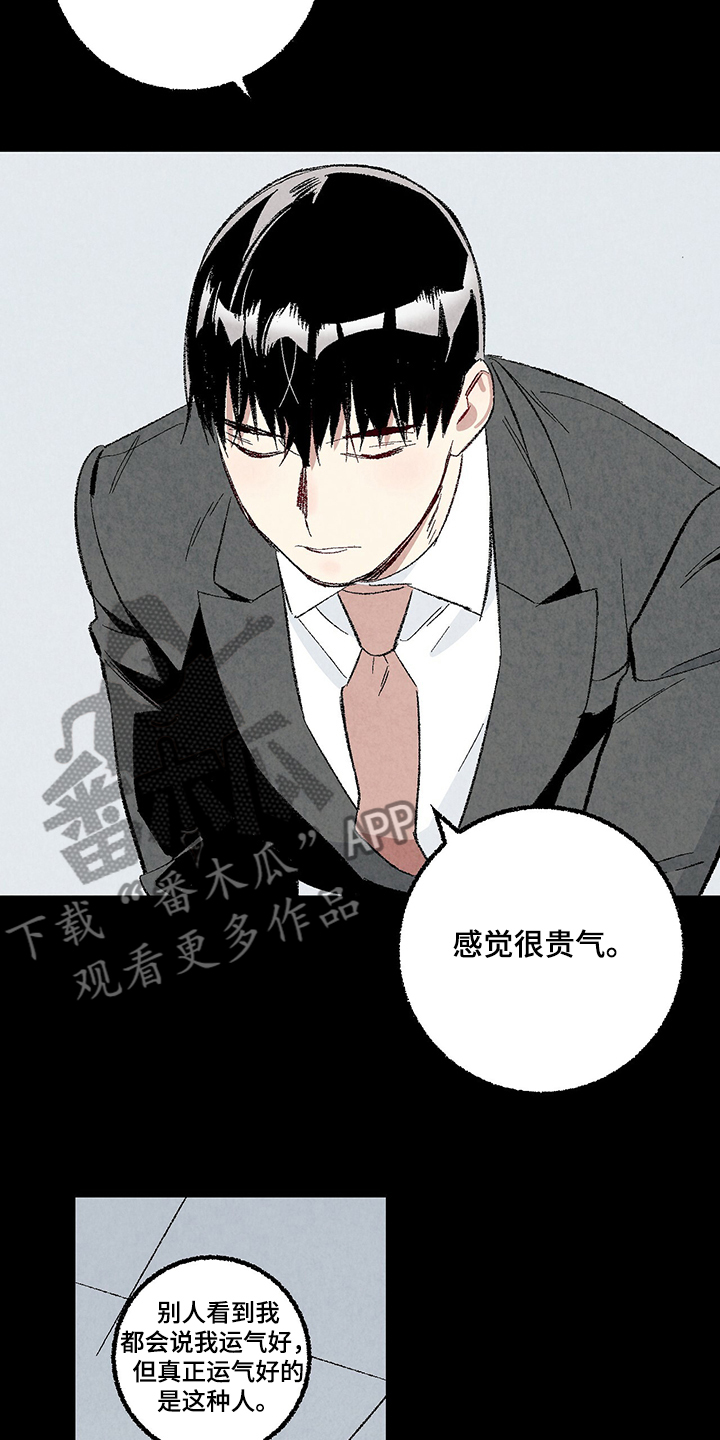 完美伴侣漫画,第81章：【第二季】不一般的病毒3图