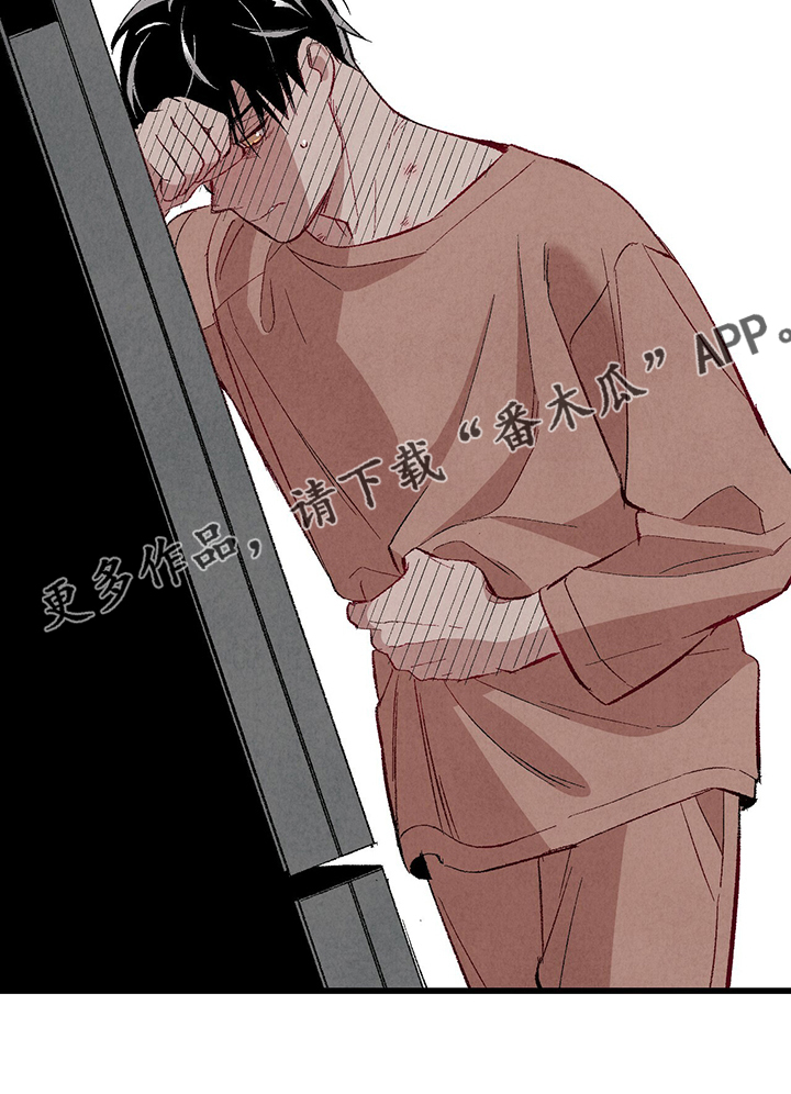 完美伴侣漫画,第84章：【第二季】悄悄的走1图