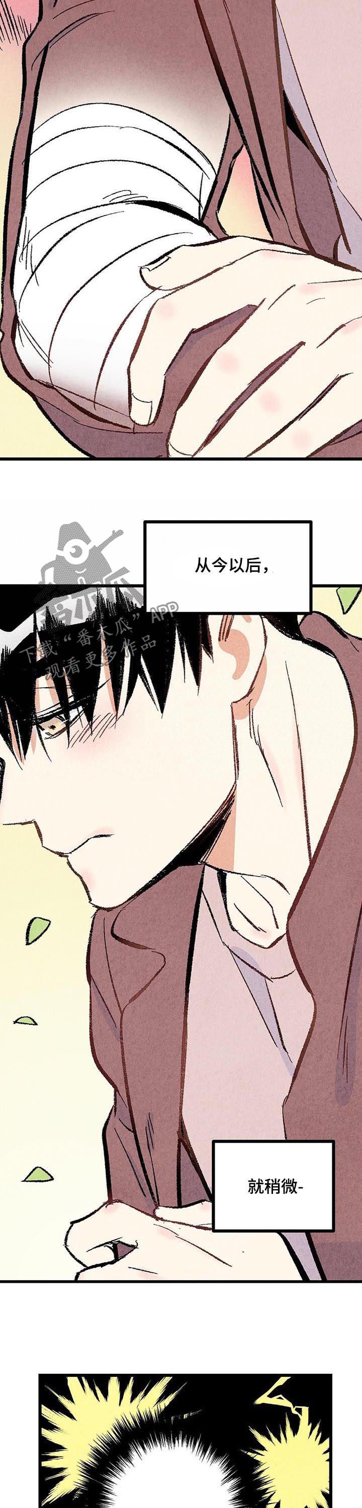 完美伴侣漫画,第39章：容易让人误会5图