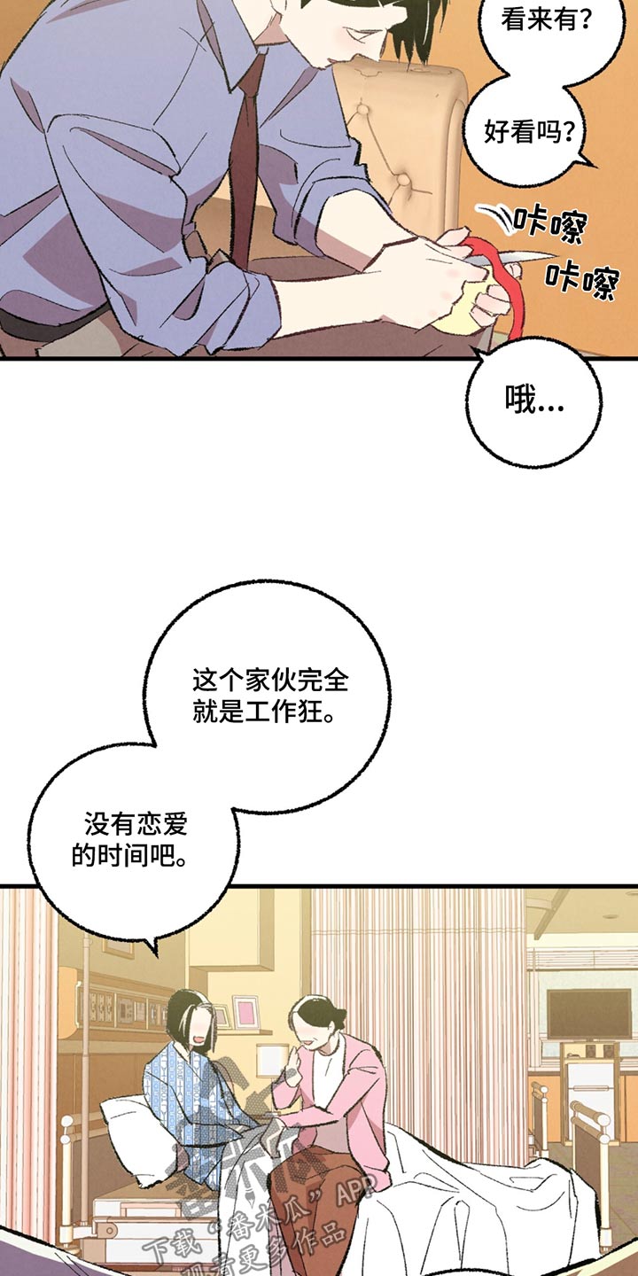 完美伴侣漫画,第153章：【第二季】传闻5图