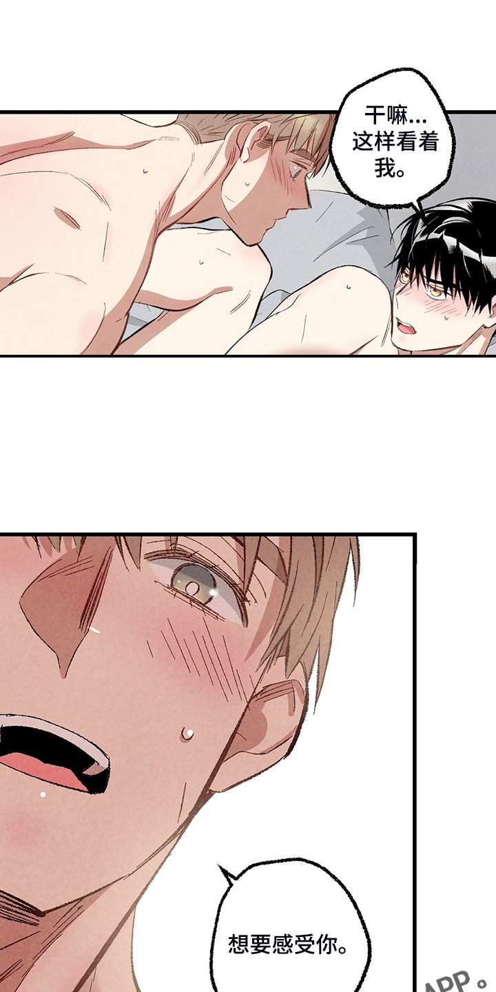 完美伴侣漫画,第75章：【第二季】我才刚开始1图