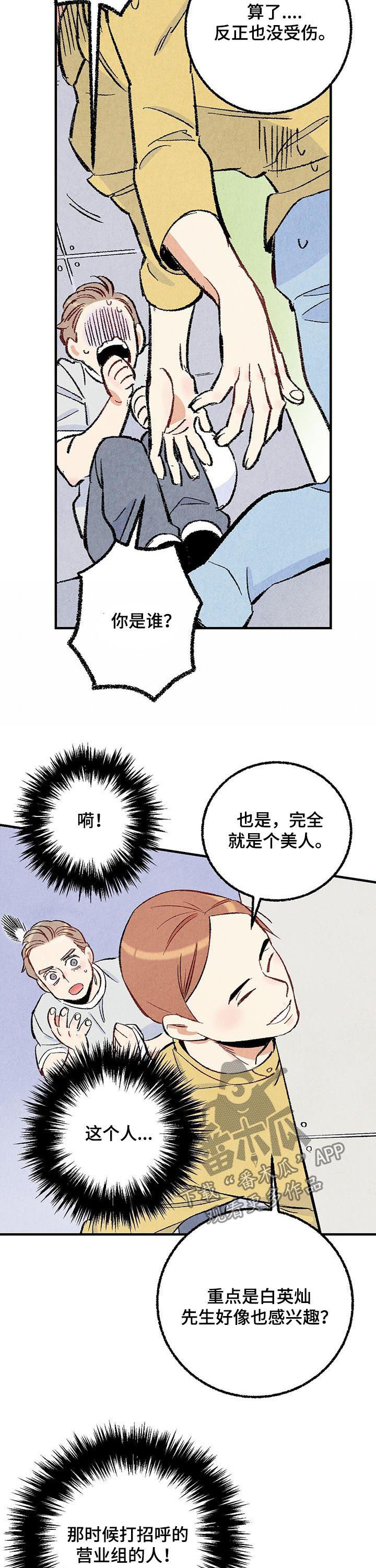 完美伴侣漫画,第36章：美人4图
