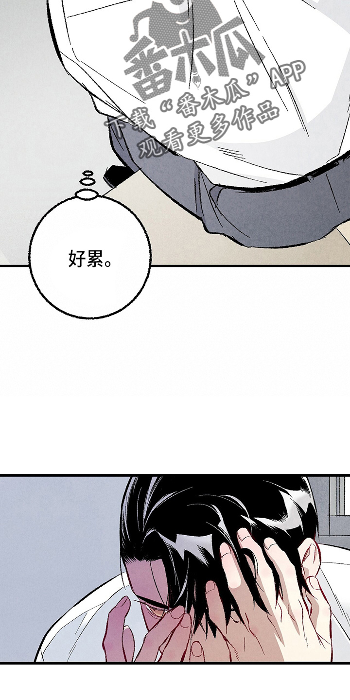 完美伴侣漫画,第89章：【第二季】刺眼5图