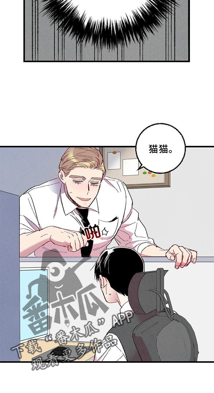 完美伴侣漫画,第114章：【第二季】猫猫2图