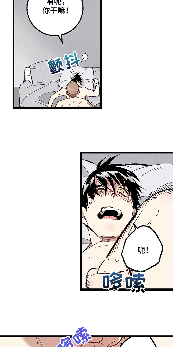 完美伴侣漫画,第76章：【第二季】像受伤的猫3图